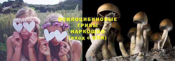 прущий лед Алексеевка