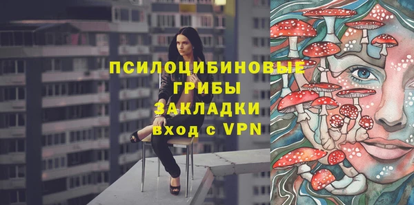 ALPHA PVP Алексин