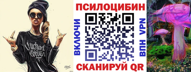 наркошоп Канаш Галлюциногенные грибы Psilocybe